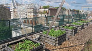 Le parcours 3 « Agricultures urbaines et périurbaines », une première en France au niveau licence pro ». Les inscriptions débutent le 22 avril jusqu’au 3 juin. P.Fayolle